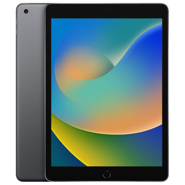 APPLE iPad 9th Gen 10.2 inch A13 WiFi 256GB Space Gray (fk2n3ll/a)